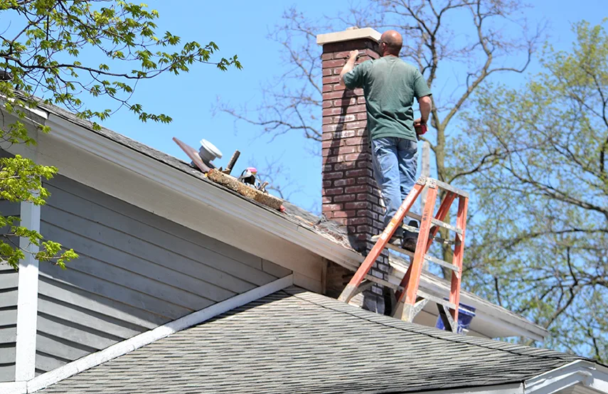 Chimney & Fireplace Inspections Services in Alamo, TX